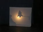 P1010173