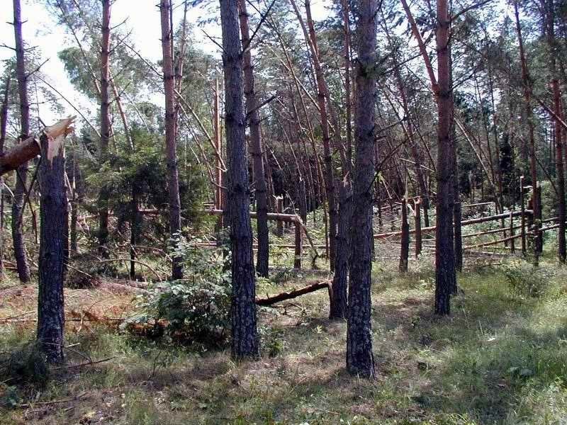 P7060151